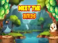 Spel Ontmoet Die Voëls aanlyn Spel Ontmoet Die Voëls aanlyn