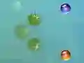Spel My avontuurbestande aanlyn