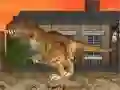 Spel LA Rex aanlyn