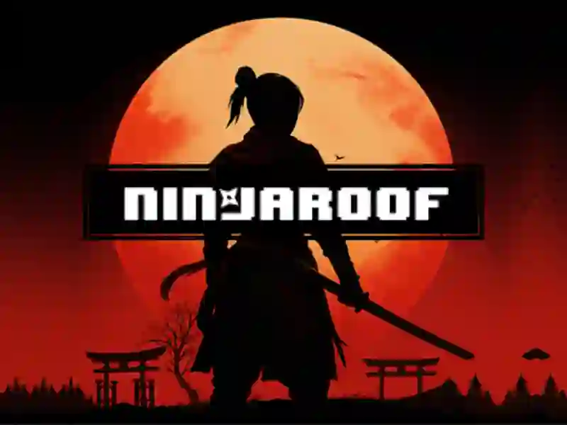Spel Ninja dak aanlyn