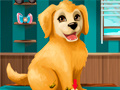 Spel Word 'n Poesjie Groomer aanlyn