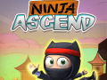 Spel Ninja Styg aanlyn
