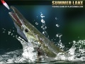 Spel Sommermeer aanlyn