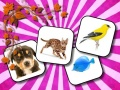 Spel Diere Geheue aanlyn