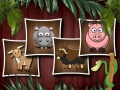 Spel Diervorms 3 aanlyn