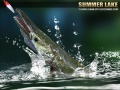 Spel Sommermeer 1.5 aanlyn
