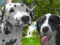 Spel Hondsimulator 3D aanlyn