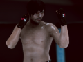 Spel MFS: MMA Vegter aanlyn