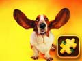 Spel Grappige Honde-puzzel aanlyn