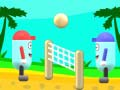 Spel Strandvlugbal aanlyn