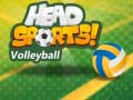 Spel Head Sports Volleybal aanlyn