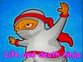 Spel Ninja van lewe en dood aanlyn