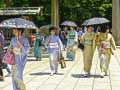 Spel 100 Vlinders in Japan aanlyn