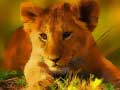 Spel Wild Baba Dier Legpuzzel aanlyn