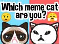 Spel Watter meme-kat is jy? aanlyn