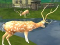 Spel Deer Jag: Sniper Skiet aanlyn