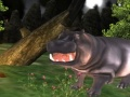 Spel Wild Hippo Jag aanlyn