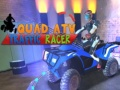 Spel Quad ATV Verkeersrenner aanlyn