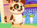 Spel Pragtige Virtuele Hond aanlyn
