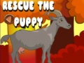 Spel Red die hondjie aanlyn