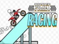 Spel Pocket Wedren aanlyn