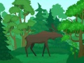Spel Kleur Wilde Diere aanlyn