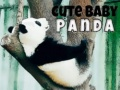 Spel Pragtige Baba Panda aanlyn