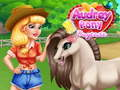 Spel Audrey Pony Dagversorging aanlyn