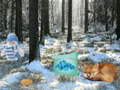 Spel Winter Wonderlands Woud Avontuur aanlyn