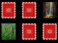 Spel Woudgeheue aanlyn