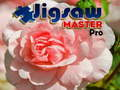 Spel Puzzel Meester Pro aanlyn