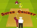 Spel Super Krieket aanlyn