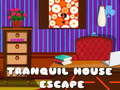 Spel Ontsnapping uit die Stille Huis aanlyn