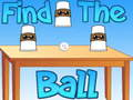 Spel Vind die bal aanlyn