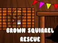 Spel Bruin Eekhorink Rescue aanlyn