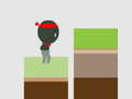Spel Ninja die Sprong aanlyn