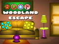 Spel Woudvlugt aanlyn