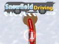 Spel Ry op sneeuvelde aanlyn