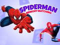 Spel Spiderman geheue speletjie aanlyn