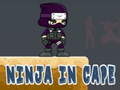 Spel Ninja in Kaap aanlyn