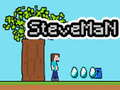 Spel Steveman aanlyn