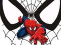 Spel Spiderman Wedstrydkaarte aanlyn