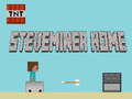 Spel Steveminer Tuis aanlyn