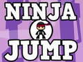 Spel Ninja Spring aanlyn