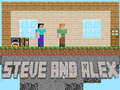 Spel Steve en Alex aanlyn