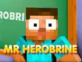 Spel Mnr. Herobrine aanlyn