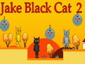 Spel Jake Swart Kat 2 aanlyn