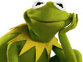 Spel Kleurboek Vir Kermit Die Padda aanlyn
