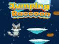 Spel Springende Raccoon aanlyn