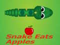 Spel Slang eet appel aanlyn